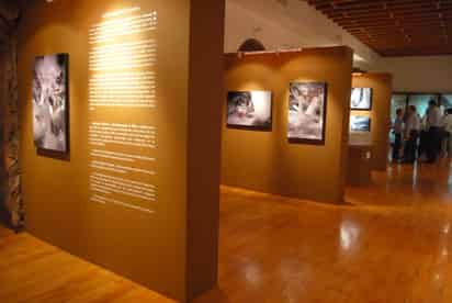 Museo de los Metales