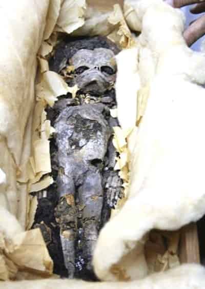 Tutankamón fue uno de los últimos reyes de la 18va Dinastía, en un período turbulento que vio el fin del monoteísmo de Akenatón y la recuperación del poder por los sacerdotes de las numerosas deidades del antiguo Egipto. (AP)