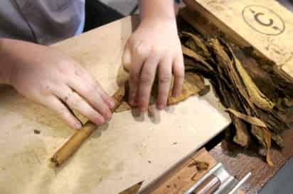 El tabaco que se fabrica y vende en la República Dominicana se cultiva en la zona Norte del país, en municipios como Santiago de los Caballeros, Villa González, Navarrete, y también en puntos como Puerto Plata, Moca y La Vega, entre otros. (EFE)