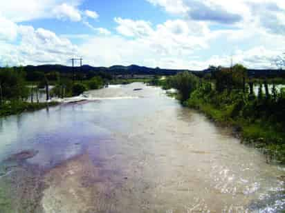 Todos los afluentes están activos en Ocampo, mismos que han destruidos caminos, cultivos y puentes.