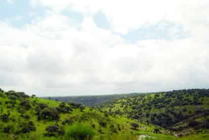 Postal / Lugar: Sierra Madre Occidental.