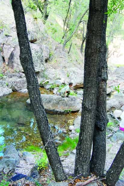 El Arroyo de la Cañada del Obispo se disfruta por su frescura y pureza. Este niño goza al ver a los pececillos.