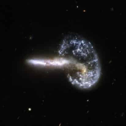 Imagen tomada por el telescopio espacial Hubble que muestra la colisión en la Osa Mayor de dos galaxias que resulta en una impresionante galaxia que forma una especie de anillo con su cola correspondiente.EFE