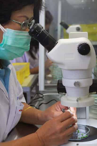 Emigran. Actualmente unos 200 mil científicos mexicanos trabajan en el extranjero ante la falta de oportunidades en México.