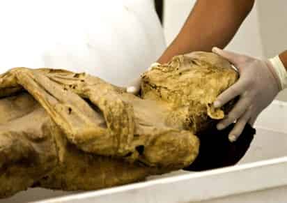Un grupo de 36 momias a préstamo del Museo de las Momias de Guanajuato será mostrado al público en el Science Center de Detroit como parte de la exhibición itinerante titulada 'Momias accidentales de Guanajuato'. (Notimex)