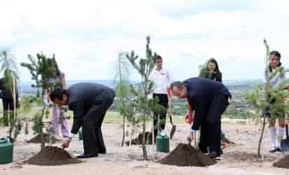 Ineficaces. A pesar de que se ha denunciado la ineficacia de Procampo y ProÁrbol el Gobierno de Felipe Calderón busca inyectarles más recursos. ARCHIVO