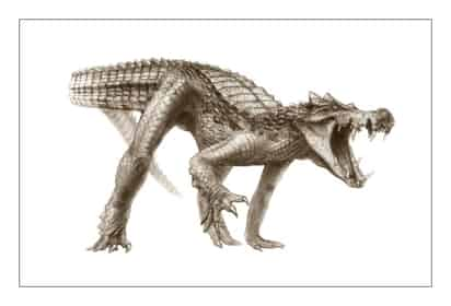 Boceto 'BoarCroc', de una de las especies de cocodrilos hallados en el Sáhara que vivieron hace 100 millones de años. (EFE)