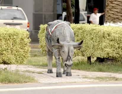Roban vaca artística de la Colón
