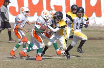 Los Vikingos de San Isidro vencieron a Panteras de la Unidad Deportiva Torreón por 15 puntos a ocho en el juego de semifinales de la categoría Midget de la Asociación de Futbol Americano Infantil de La Laguna. (Archivo)