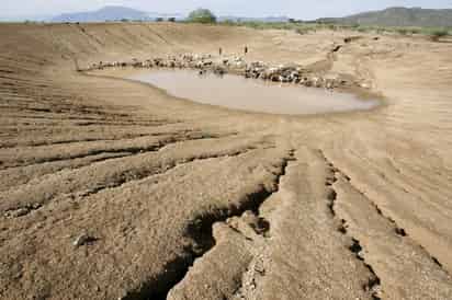 Previsiones. En los próximos 40 años, prevé el Programa de Acción ante el Cambio Climático de la entidad,  las áreas aptas para la producción de maíz, papa y cítricos en este estado se reducirán en Nuevo León.