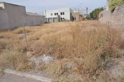 Baldíos. Estos terrenos, prácticamente abandonados por sus dueños son zonas propensas para el tiradero de basura, escombro, animales muertos y de ser incendiados por vándalos. Abundan en la ciudad.