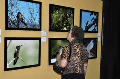 Exposiciones. Durante la segunda quincena de marzo se harán diferentes exposiciones para festejar el aniversario 38.  EL SIGLO DE TORREÓN / SANDRA SILVA