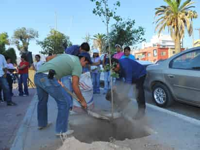 PLANTAS. Con plantas nativas se puede disminuir la contaminación del suelo y del agua.