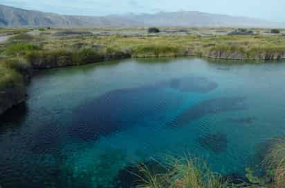 Ecología. Valeria Souza considera que este sexenio ha sido 'fatídico' para Cuatrociénegas.