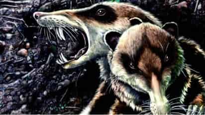 El animal, que vivió hace unos 94 millones de años, era del tamaño de un ratón y tenía dientes proporcionalmente largos.