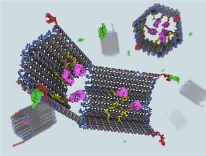 El diseño del nanorobot se basa en el origami. ARCHIVO