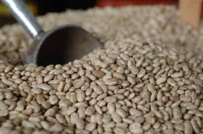 Los frijoles ayudan a reducir los niveles de colesterol y triglicéridos, son bajos en grasas, proporcionan proteínas y antioxidantes. ARCHIVO