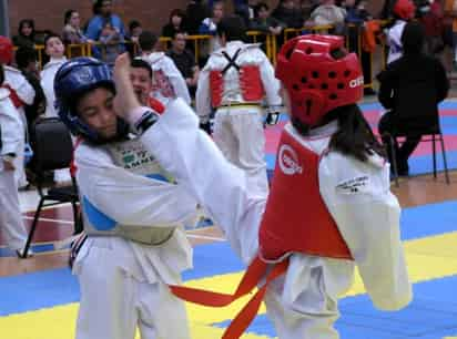 Varios cientos de competidores darán vida el próximo sábado al XXVI Torneo de Tae Kwon Do San Francisco de Asís 2012.