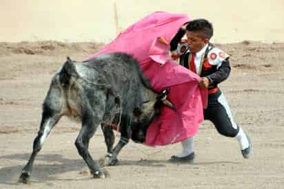 Esta tarde regresan los Enanitos Toreros de Torreón. Regresan los Enanitos Toreros