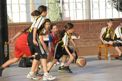 El Colegio Alemán de Torreón  participará en Torneo  ODEIPPLA. El Colegio Alemán listo para arranque de torneo