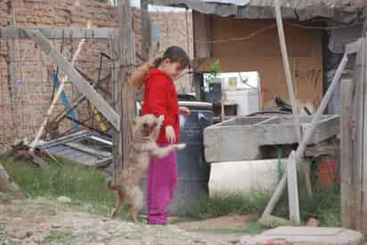 Enfermedad. La fiebre manchada puede causar la muerte si no es detectada a tiempo.