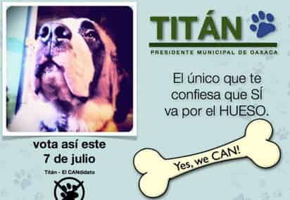 Carrera. La aceptación que han tenido los animales candidatos en redes sociales sobrepasa a la de muchos candidatos reales de los partidos políticos. Todos buscan las alcaldías. El perro Titán va por Oaxaca, el gato Morris por Xalapa, la gata Maya por Puebla y el Burro Chon por Ciudad Juárez.