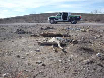 Panorama. El municipio de Santa Clara en 2012 fue uno de los más afectados con la muerte de ganado por el estiaje.