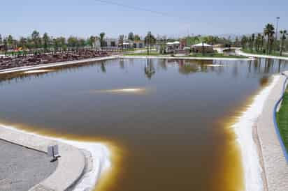 Agua negra.  El lago de las lanchas no solamente presenta burbujas de aire en la membrana, también el agua se tornó oscura.