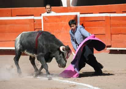 Talentos de varias escuelas taurinas de Torreón y otras ciudades se presentarán esta tarde en el ruedo de la Plaza de Toros Valente Arellano de Torreón, dando vida a un atractivo festival.