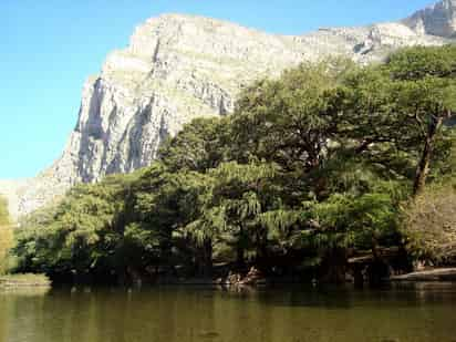 Riqueza natural. El Cañón de Fernández es una de las pocas partes del Nazas que conserva su riqueza.