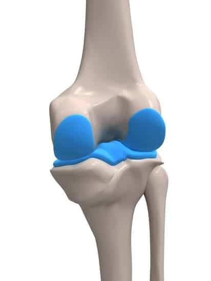 El colágeno y la osteoartitis