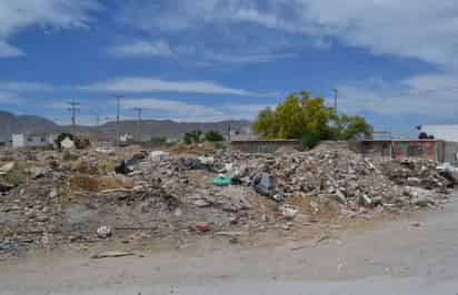 Escombro. En la colonia Valle Margaritas hay un terreno baldío donde tiran escombro y animales muertos. 