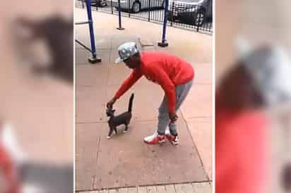 El muchacho pateó al gato una vez que lo tuvo cerca. (Captura)