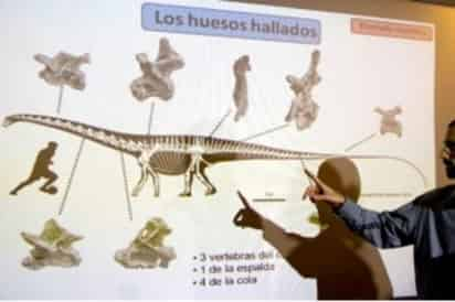 Hallazgo. Los restos del dinosaurio se encontraron en América del Sur.