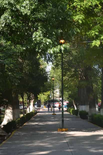 Los cuidados de la neuropatía diabética