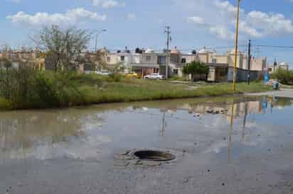 Fallas. Las alcantarillas de la calle Campo de Violetas deben ser destapadas para evitar inundaciones cada vez que llueve.