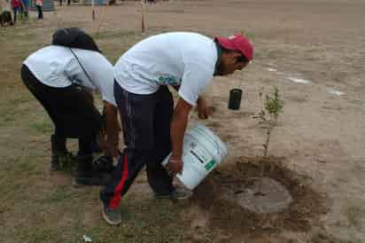 Seguimiento. El grupo le apuesta al compromiso de los ciudadanos que colaboraron en la reforestación de La Laguna.