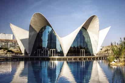 L'Oceanogràfic, Ciudas de las Artes y las Ciencias, España, 2002. (Foto: Felipe Gabaldón)