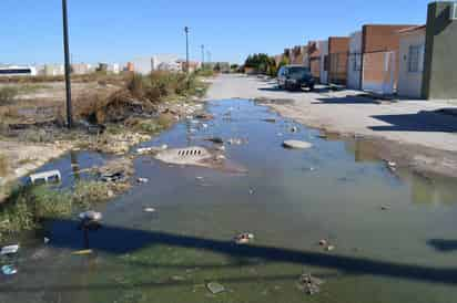 Insalubridad. Aguas negras brotan sin control desde hace más de un año en la calle de los Vitrales.