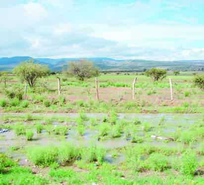 Clima. Valles y llanos son las zonas más propicias para la ocurrencia de lluvias.