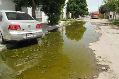 El problema, dicen los vecinos, es que constantemente brotan las aguas negras. (EL SIGLO DE TORREÓN)