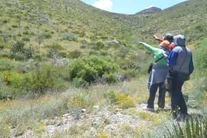 'Nos quedaron dudas, queremos buscar en el lugar donde hemos estado encontrando osamentas, ya no tenemos miedo, queremos encontrar a nuestros hijos', dijeron los familiares. (Archivo)
