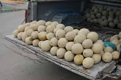 Producción. A diferencia de otros años, el melón tempranero no durará mucho tiempo. (MARY VÁZQUEZ)