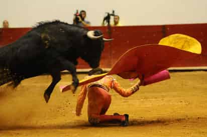 El valor y el arrojo de los jóvenes espadas mexicanos se podrá observar cada tarde en el serial Descubriendo un Torero, que este domingo vivirá el primero de tres festejos programados en el Coliseo Centenario. (Archivo)