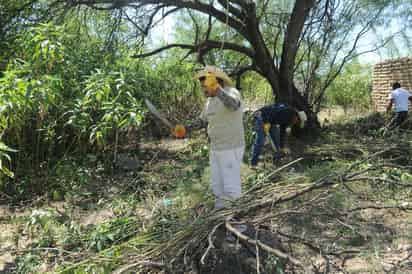 Programa. La asociación civil Eco Cañón actualmente lleva a cabo acciones de saneamiento en el Parque Estatal Cañón de Fdz. (Ramón Sotomayor)