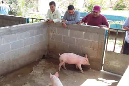 Caso de éxito. Supervisan la granja familiar Antúnez, que fue apoyada y ha crecido como un negocio sólido en la Región Lagunera.