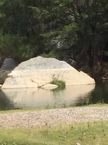 Es necesario más vigilancia en la zona, adicionalmente ya hubo muchos incendios provocados, los concesionarios ya habían solicitado mayor vigilancia en el sector.