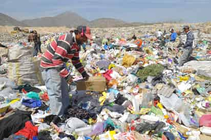 Reciclaje. Crear cultura y conciencia es fundamental para mejorar el ambiente, ya que hay materiales dañinos que pueden reciclarse. (EL SIGLO DE TORREÓN)