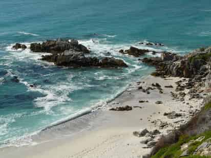 Gansbaai es conocida como la “capital del tiburón blanco”