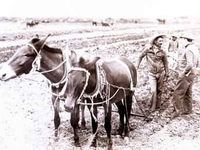 
Campesinos y técnicos agrícolas unidos con el propósito de producir más y de mejor calidad. AHJAE, fondo Pedro V. Rodríguez Triana.
